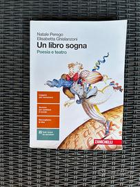 Libro di testo superiori