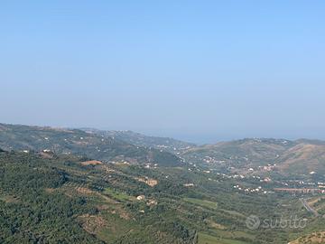 Dal tuo appartamento goditi il panorama