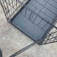 Trasportino taglia grande