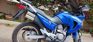 Honda Transalp 650 anno 2001