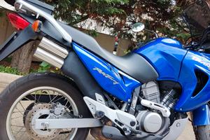 Honda Transalp 650 anno 2001