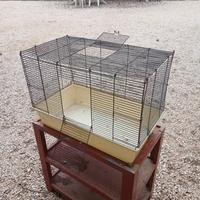 Gabbia coniglio nano cavia