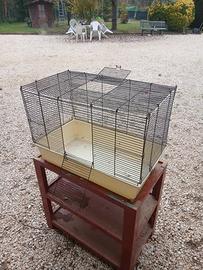 Gabbia coniglio nano cavia