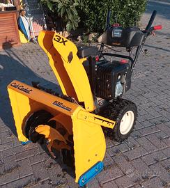 Saldi di fine stagione. Turbina cub cadet