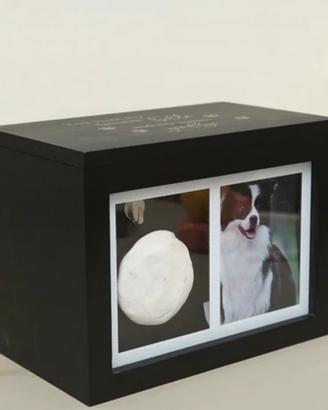 Quadro foto con impronta bimbo o aninale domestico
