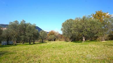 TER. AGRICOLO A MONTECORVINO ROVELLA