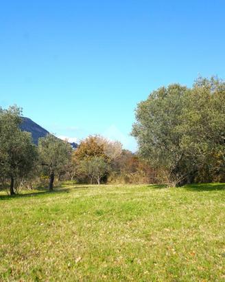 TER. AGRICOLO A MONTECORVINO ROVELLA