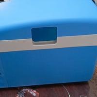 Frigorifero elettrico poratile