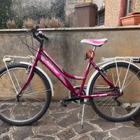 bicicletta