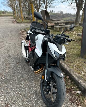 Hornet 750