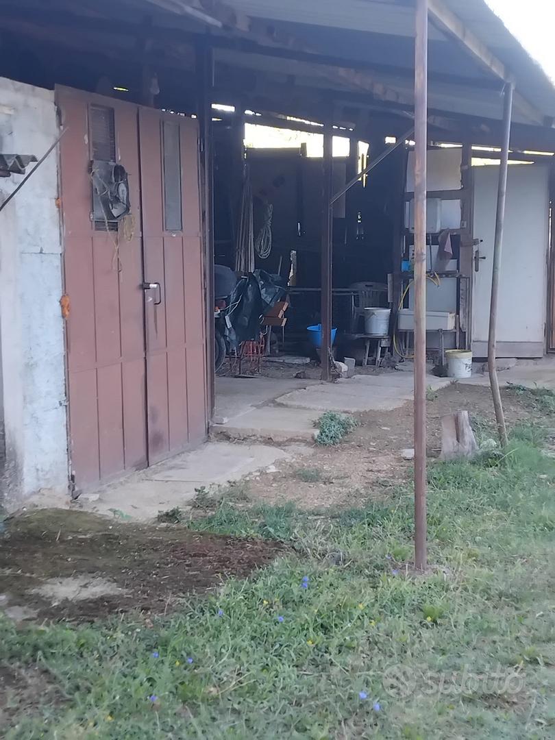 Terreno 1300 m fabricabili e 7000 agricoli - Vista 3