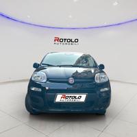 FIAT Panda 3ª serie Panda 1.0 FireFly S&S Hybr...