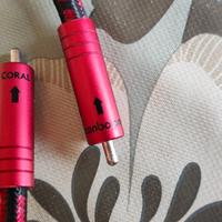 Audioquest Coral