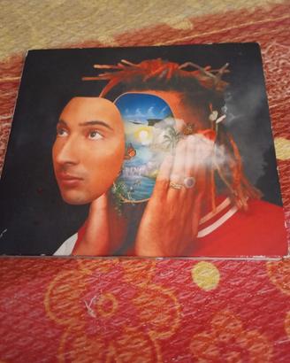 CD Ghali DNA