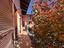 Immagine 28
