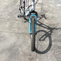 bicicletta da ragazza 