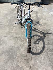 bicicletta da ragazza 