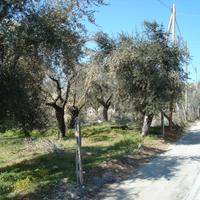 Terreno edificazione diretta