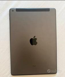 Ipad space gray, Wi-Fi+Cellular.