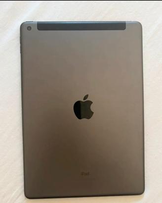 Ipad space gray, Wi-Fi+Cellular.