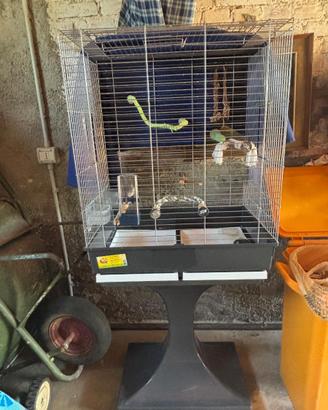 gabbia x pappagalli da interno