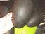 Immagine 3