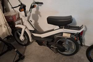 Grillo Piaggio