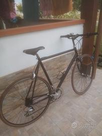 bici ibrida