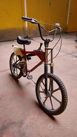 Saltafossi Legnano Jaguar