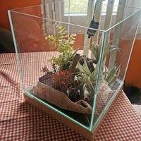 Acquario