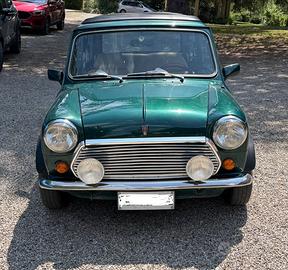 MINI ROVER 1300