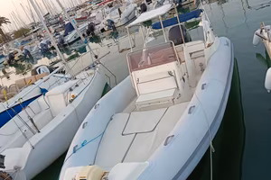 Marlin 22 con Mercury 200cv F