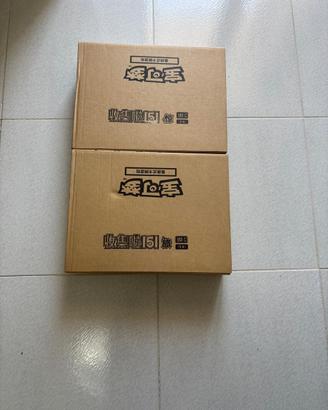 2 case di Pokémon 151 in lingua cinese vol 1 e 3