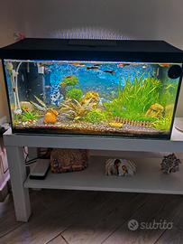 Acquario Aquael 54lt