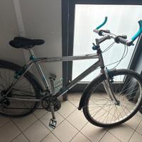 Montainbike da corsa colore Azzurro e Argento.