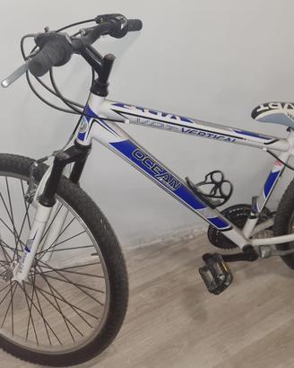 Bici uomo