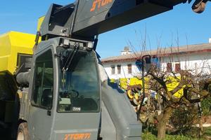 Carro semovente storti dmu pointer mc. 19