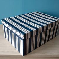 Scatola contenitore con coperchio