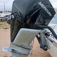 MERCURY F250 V8 XL AM DS 50 ore navig 06/2023