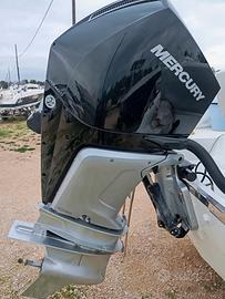 MERCURY F250 V8 XL AM DS 50 ore navig 06/2023