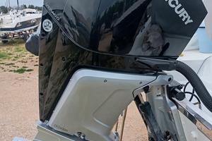 MERCURY F250 V8 XL AM DS 50 ore navig 06/2023