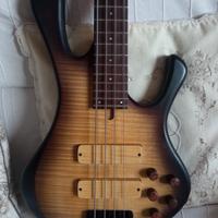 Basso elettrico Gaetano Costanzo