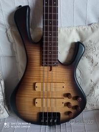 Basso elettrico Gaetano Costanzo