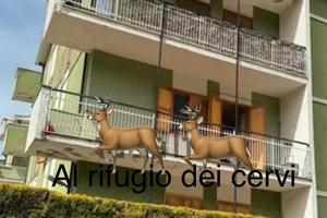 Casa vacanze al rifugio dei cervi