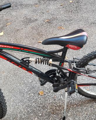bicicletta per ragazzino 