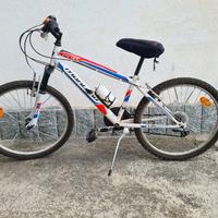 bicicletta mtb