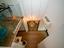 Immagine 27