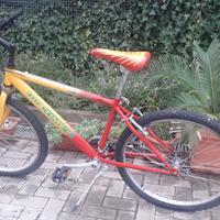 Bici 26