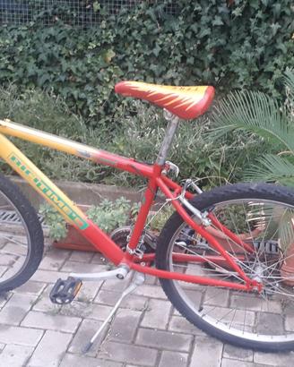 Bici 26