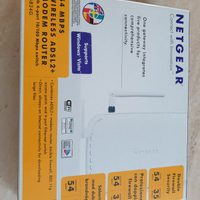 Netgear